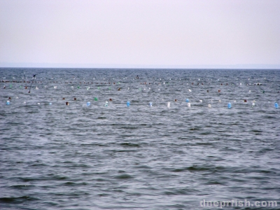 Недалеко от Ивановских островов, 24.04.09, запрет на рыбалку