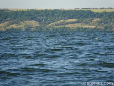 Виды Каховского моря. Июнь 2009