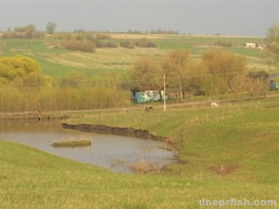 Маленький ставок в Курской области
