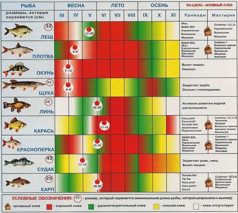 Календарь активного клева самых распространенных рыб России. Источник: Энциклопедия рыбака 