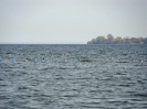 Недалеко от Ивановских островов, 24.04.09, запрет на рыбалку