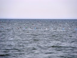 Недалеко от Ивановских островов, 24.04.09, во время запрета на рыбалку