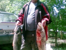Сазан на макушатник апрель 2010 "Водянская яма"