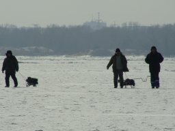 Утро 19.02.2012, пейзаж!