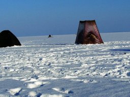 10.03.2012 между Ивановкой и Благовещенкой